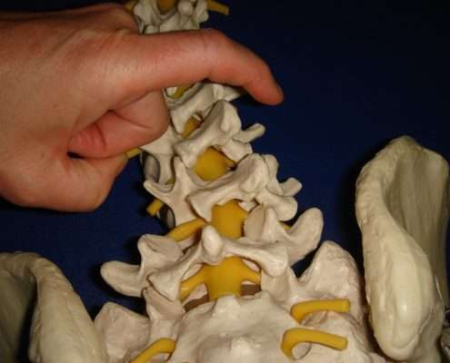 Cranio Sacrale Osteopathie - Fortbildung auf einem Lehrgang