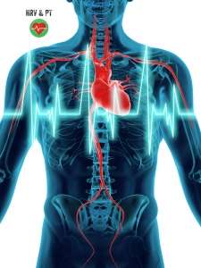 Herzratenvariabilität (HRV)