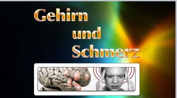 Onlinekurs "Gehirn und Schmerz"