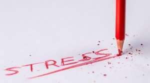 Onlinekurs Gehirn & Stress